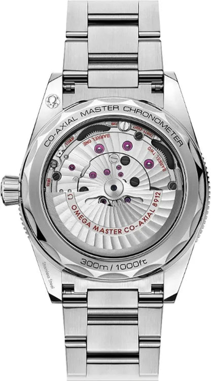 Omega Seamaster 300 Blue - Hình 2