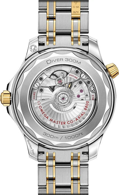 Omega Two-Tone Diver Watch - Hình 2