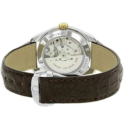 Omega Brown Striped Dial - Hình 4